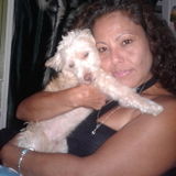Reliable & Responsible House Sitter Available Now