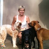 Dog Boarding With A Family - Dog Boarding In A House