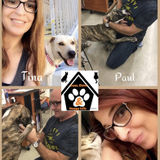 Paws Claws & Waggy Tails of Orlando! Mature Professional Pet Sitter and Dog Walkers