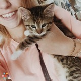Excellent Caring & Loving Sitter