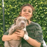 Anaheim Pet Sitter Interviewing For Being Hired