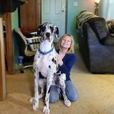 Most Consistent Dog Sitter in Muskegon