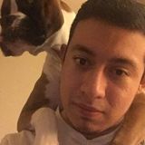 Available: Present petsitter in Virginia (cats/dogs)
