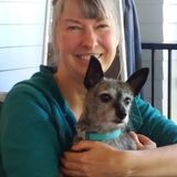 Petsitter Available For Work in Santa Rosa, CA
