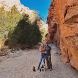 Parowan Dog Sitter Needed!