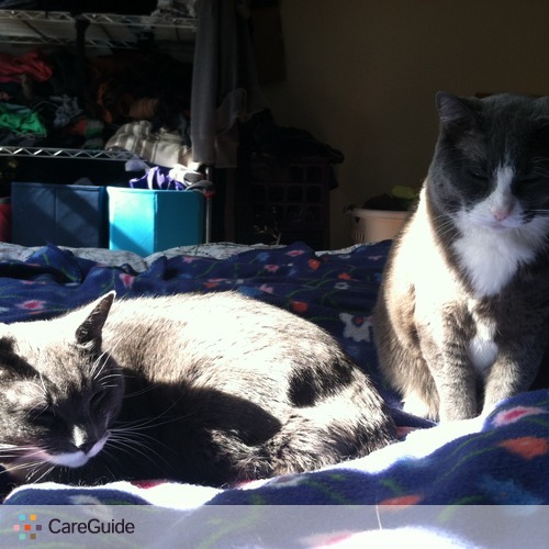 Pet Care Job Vanessa R's Profile Picture