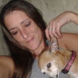 Interested In a Dog Sitter Job in New Port Richey, Florida