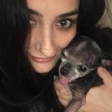 Available: Careful Animal Caregiver in Costa Mesa