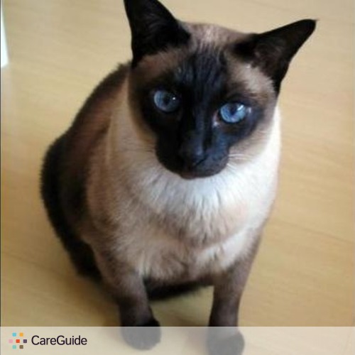 Pet Care Provider Emily Y's Profile Picture