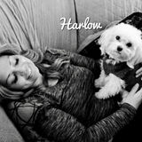 Edmonds, WA Pet Sitting Service for Sunday to Monday, Sept 22nd thru the 23rd