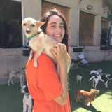 It's A Doggy Life (& Kitty)!