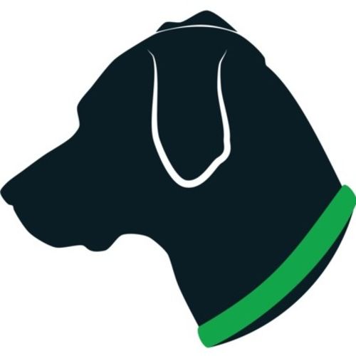 Pet Care Provider Anna R's Profile Picture