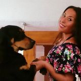 Capable Dog Walking Available Now!