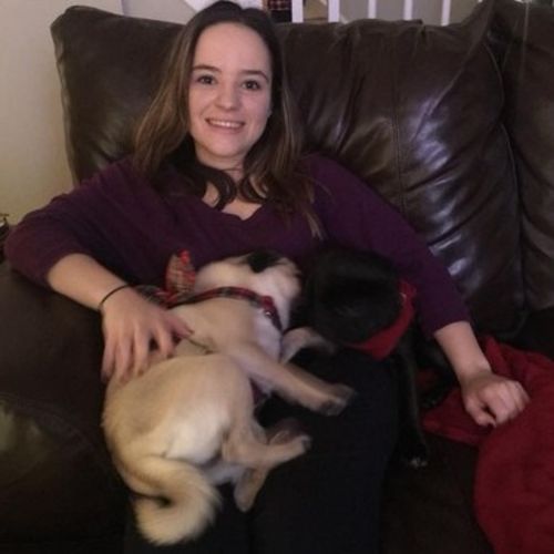 Pet Care Provider Jordan W's Profile Picture