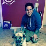 Montreal Dog Sitter Seeking Being Hired in Quebec
