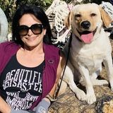 Interviewing For Dog walking / training / sitting positions