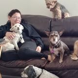 Keep calm and relax your house and your pets are in good hands