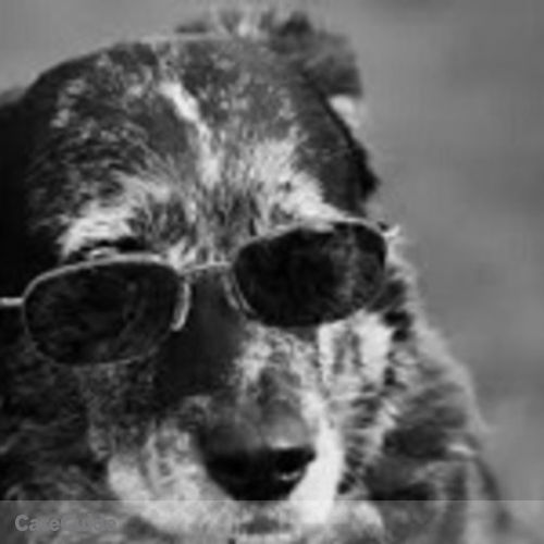Pet Care Provider Rob M's Profile Picture