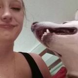 Looking For a House and Petsitter Job in Terre Haute