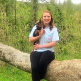 Pet Sitter and Dog Walker