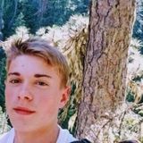 Animal Enthusiast looking to help out local pets