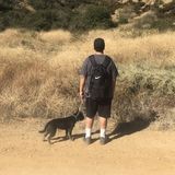 Responsible, Reliable and Trustworthy pet sitter.