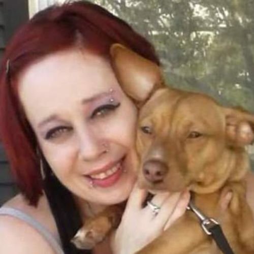 House Sitter Provider Kathryn Beam's Profile Picture