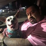 Panorama City Dog Sitter Interviewing For Job Opportunities
