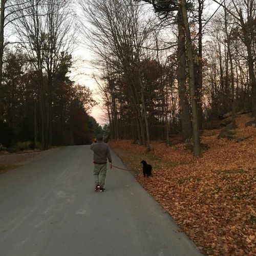 Pet Care Provider Luis Z's Profile Picture