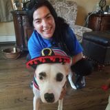 Available: Qualified Babysitter in Holbrook, New York