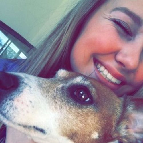 Pet Care Provider Paris H's Profile Picture