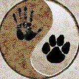 No Worries Pet Sitting and Dog Walking