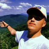 Fredericksburg Housesitter Available For Work
