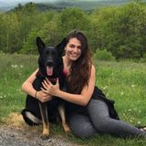 Huge Dog lover with years of experience