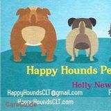 Fill in Pet Sitter on " as needed" basis.