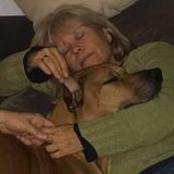 Ill love your pet while youre gone!