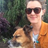 House Sitter in Kihei, Lahaina, Kapalua, Hawaii