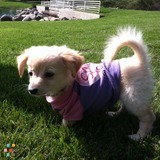 Lulu needs Love from U !:)