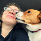 Loving, professional Pet & House SITTER / DOG WALKER