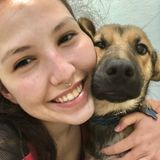 Experienced and passionate animal lover in T.O. Pet sitting/walking/overnight.