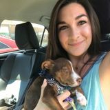 Dog lover extraordinaire at your service!
