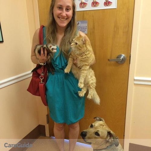 Pet Care Provider Virginia W's Profile Picture