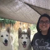 Ultimate Pet Care Giver