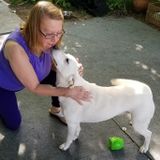 Fairlawn Pet Sitting Professional Searching for Job Opportunities