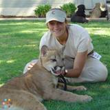 Pet care, sitting and training for all animals great and small