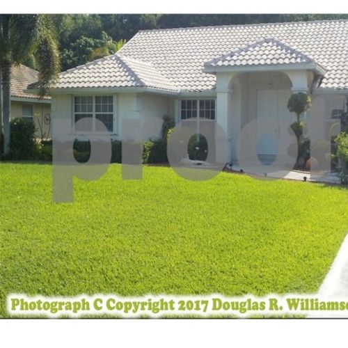 House Sitter Provider Doug Williamson Jr.'s Profile Picture