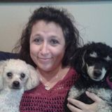 Your Boarding & Pet Sitting for Tazewell/Woodford County IL (Surrounding Areas) Lildoggydaycare