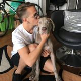 Downtown pet care for you!