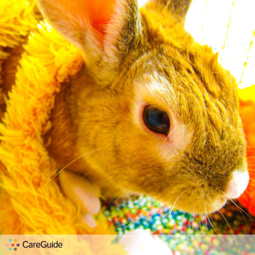 Pet Care Job Amanda S's Profile Picture