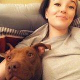 A devoted cat mom and animal lover hoping to care for your beloved fur babies! Living in Jasonville Indiana!